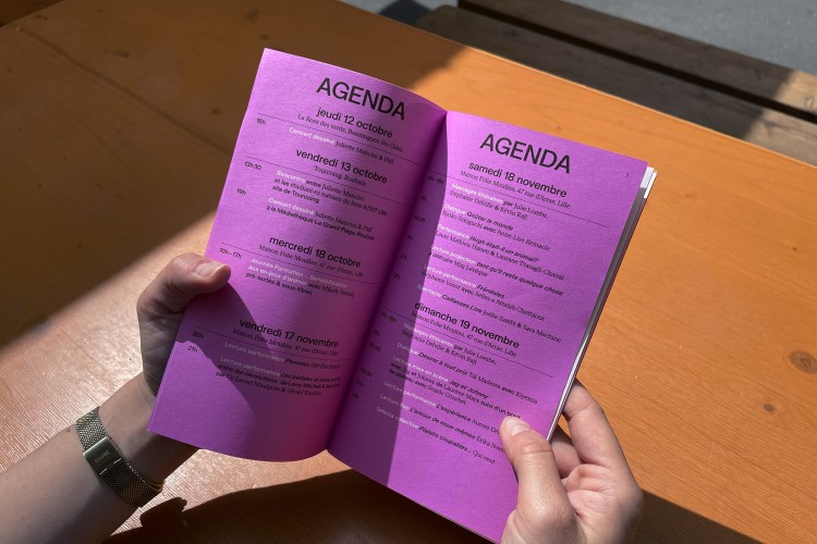 Littérature, Plaisirs, etc.